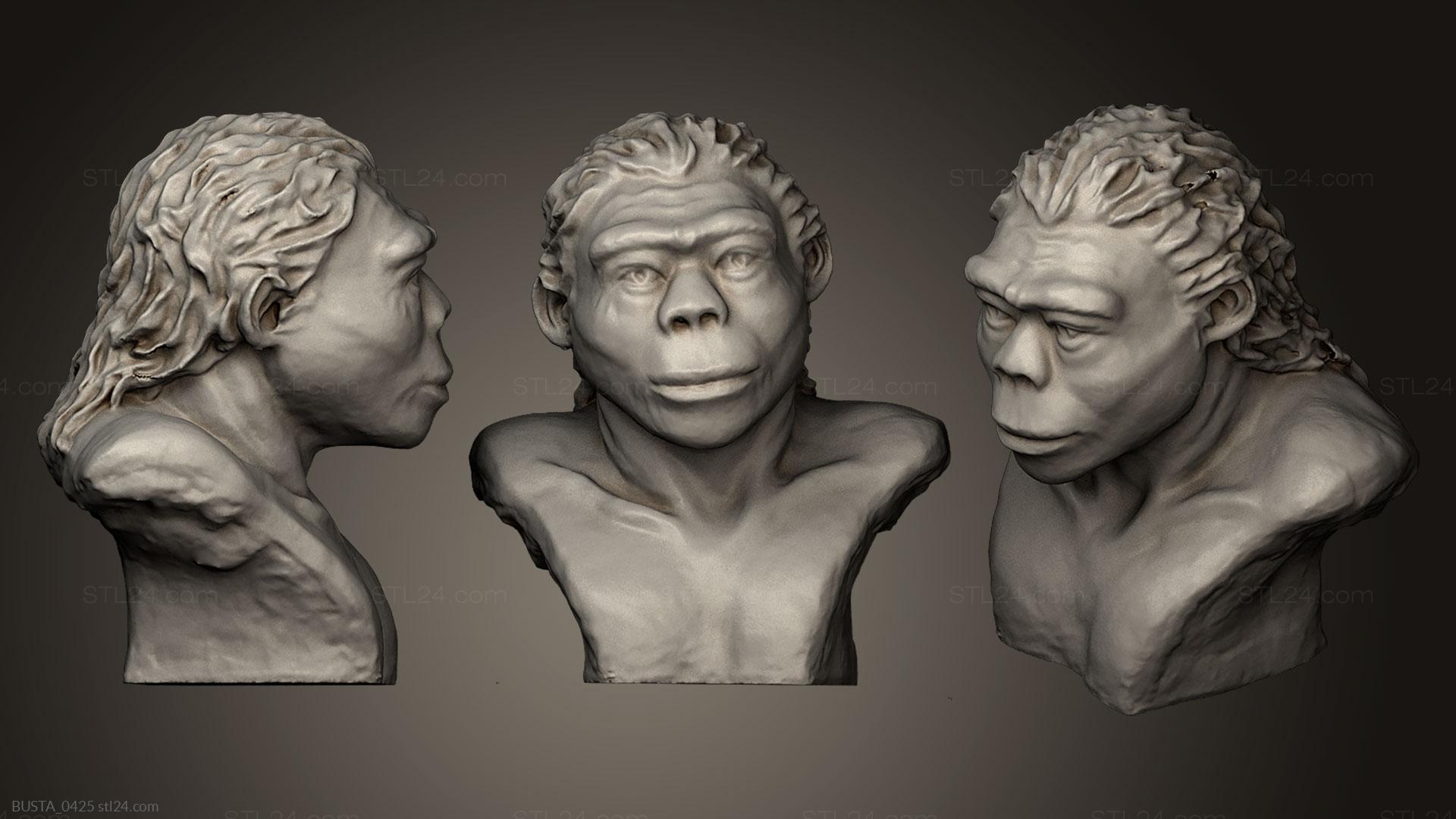 Бюсты и головы античные и исторические (Человек прямоходящий, BUSTA_0425) 3D модель для ЧПУ станка